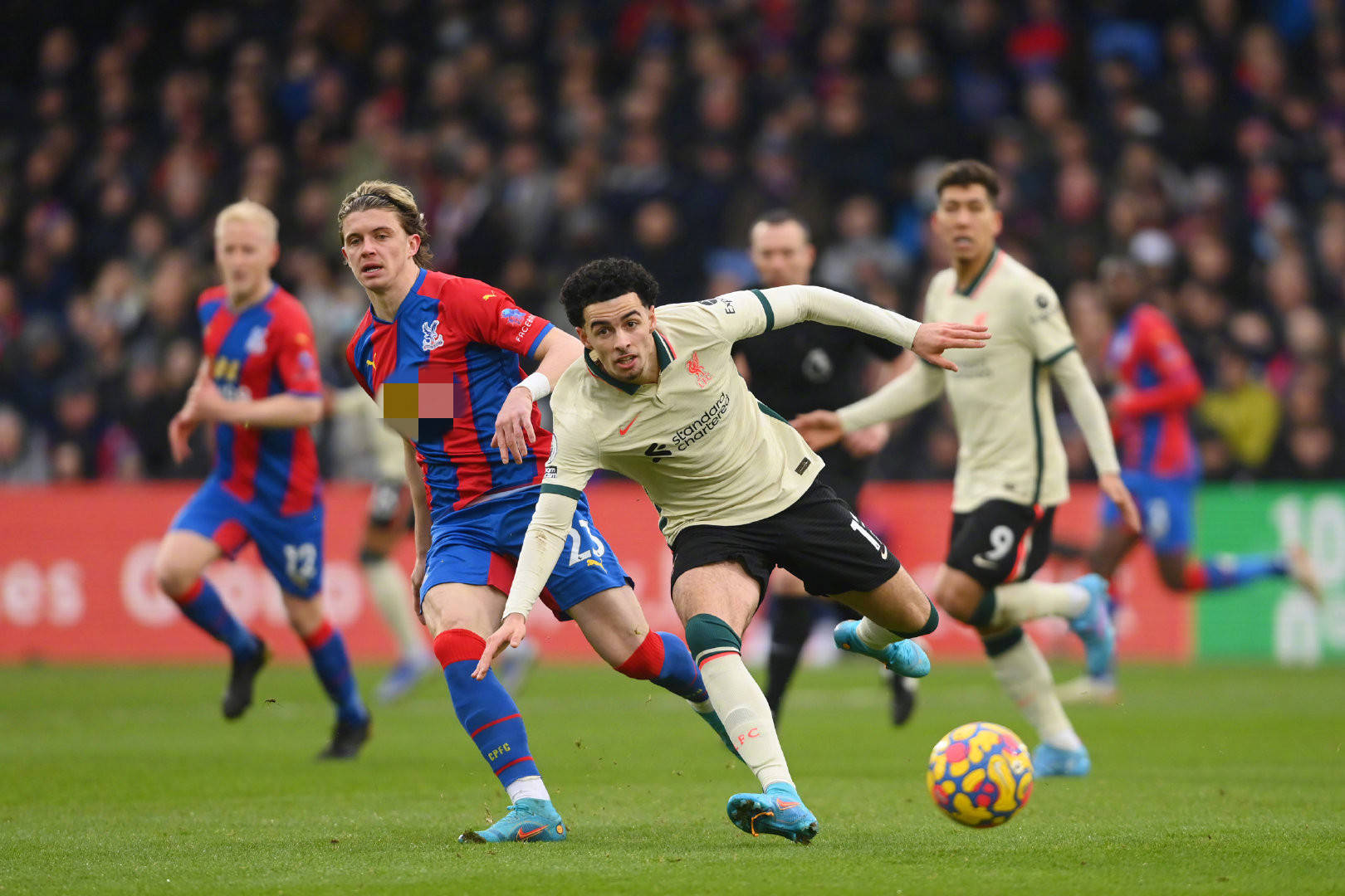 来产生了无 来产生了无